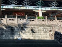 -磁器口古镇