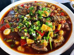 鳝鱼-老杨砂锅鱼庄
