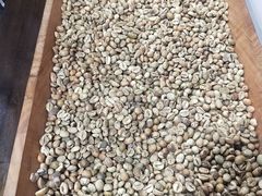 -巴厘岛黄金金兔咖啡工厂