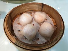 -粤式早茶希朋喜宴