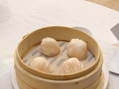 -金粤九号(李公堤店)