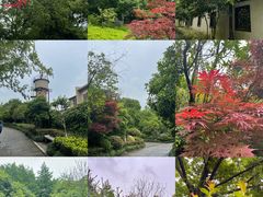 -杭州半山国家森林公园