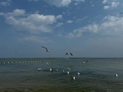 -那香海钻石沙滩浴场