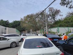 -广东惠东海龟国家级自然保护区