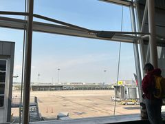 -蒙特利尔皮埃尔·埃利奥特·特鲁多国际机场