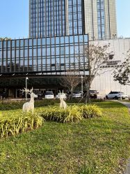 点击看大图 -金茂深圳JW万豪酒店·宴会厅
