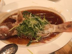 清蒸东星斑-美心皇宫(绿杨坊店)