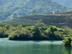 -龙坞茶村