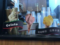 -野人先生现做冰淇淋(北京顺义祥云小镇店)