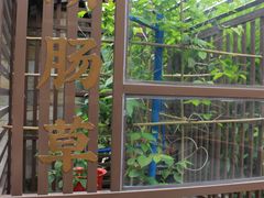 -广州神农草堂中医药博物馆