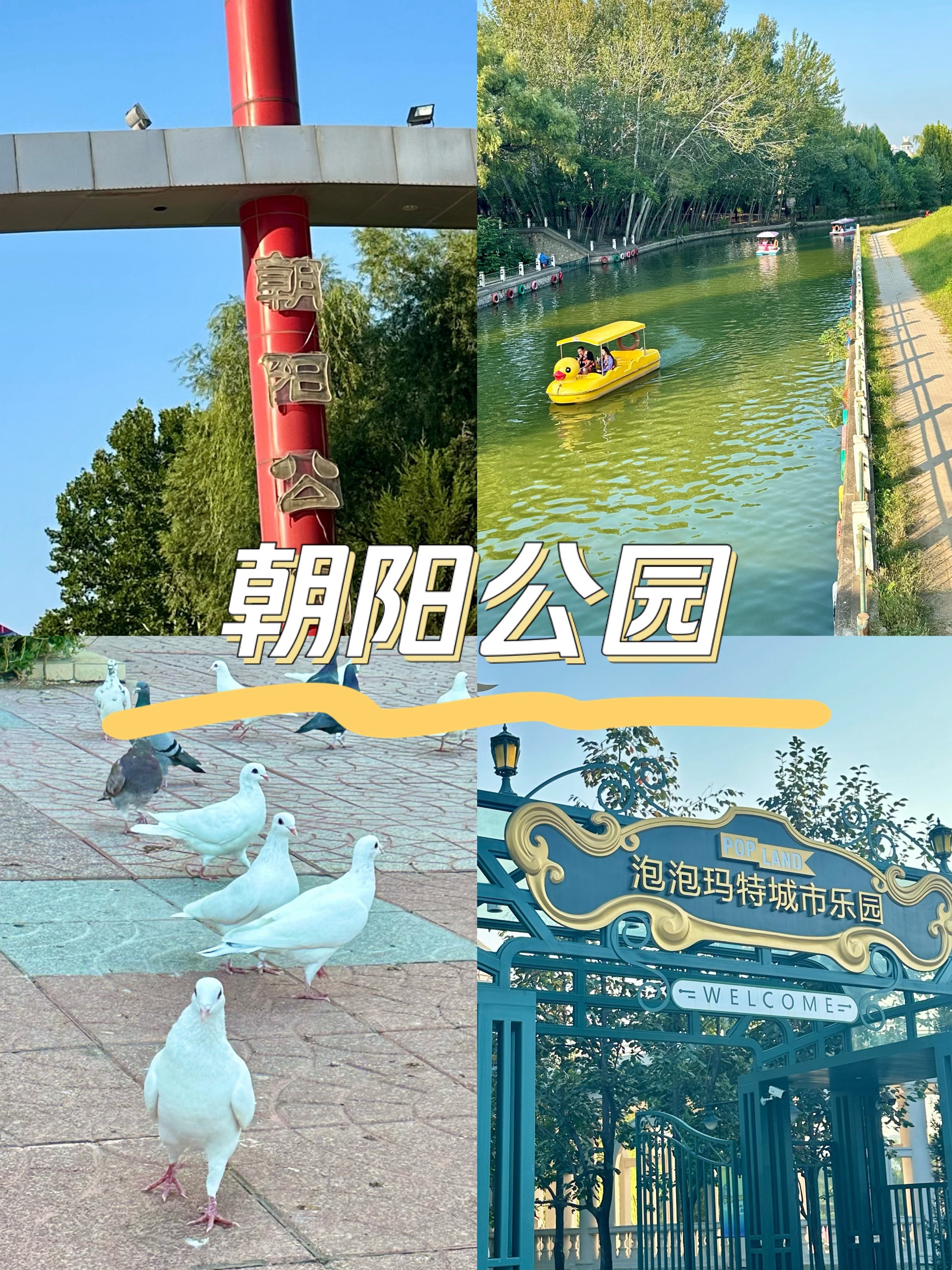 北京朝阳公园门票图片