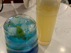 -飞行喵MR PILOT|猫舍·猫咖(静安大融城店)