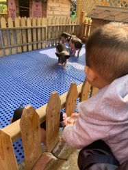 -萌宠亲子动物乐园(槐房万达店)