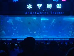 -泉城欧乐堡海洋极地世界