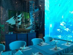 -瑞德姆美人鱼海底演艺主题餐厅(亚龙湾店)