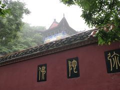 -皇藏峪国家森林公园