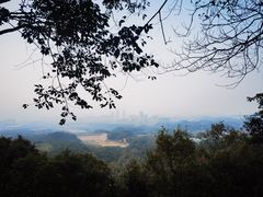 -大奇山国家森林公园
