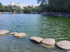 -莲湖公园