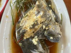 -坛南湾阿强农家乐.海鲜大排档老字号(福州地标美食店)