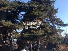 -长春市南湖公园