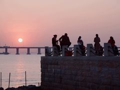 -宝安西湾红树林湿地公园