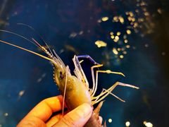 -钳真多钓虾馆·小龙虾海鲜烧烤(九六广场店)