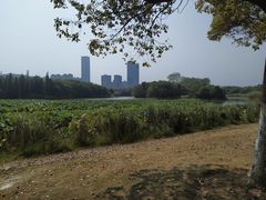 -艾溪湖湿地公园