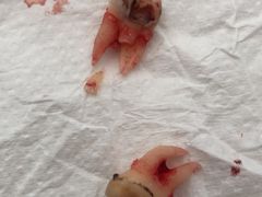 -苏州大学附属第二医院(三香院区)