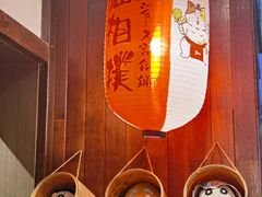 -猫相扑零食杂货铺(欧洲城店)