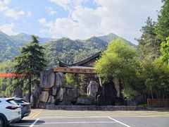-东天目山风景区