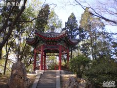 -紫竹院公园冰场
