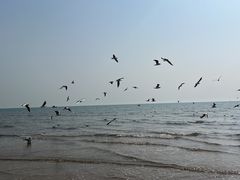 -唐山游泳馆(运动场馆)