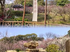 -无锡梅园公园