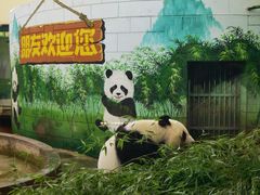-天津市动物园