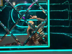 -路边边.炒菜烧烤.音乐餐厅(良乡长虹店)