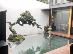 -觀芷隐轩