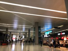 -虹桥机场国航贵宾室v8