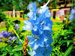 -国家植物园南园