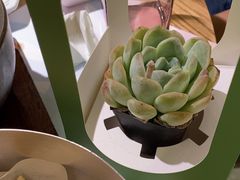 -四季餐厅(华苑店)