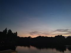 -番禺大夫山森林公园