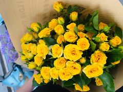 -循礼门鲜花花市(武汉循礼门店)