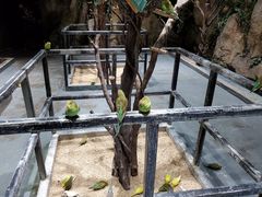 -zoonana室内动物园(东方福来德店)