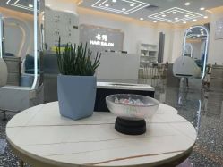 点击看大图 -杜尚造型