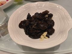 野生黑木耳-一品粤珍轩(吴中路店)