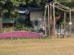 -新地休闲农场