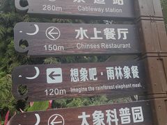 -野象谷景区