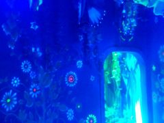 android_upload_pic-横店影视城梦幻谷园区