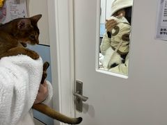 -中农国际动物医院24小时·猫科·骨科·急重症中心