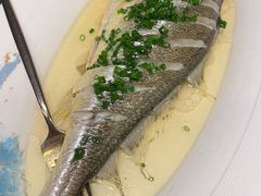 -京悦荟·京沪融合菜(漕河泾印象城店)