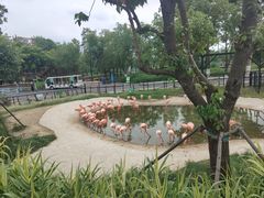 -武汉动物园
